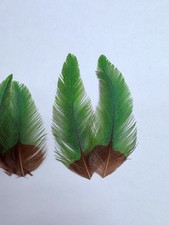 Materiais para amarrar moscas de salmão, resplandecentes, penas vintage raras. comprar usado Materiais para amarrar moscas de salmão, resplandecentes, penas vintage raras. comprar usado  Enviando para Brazil