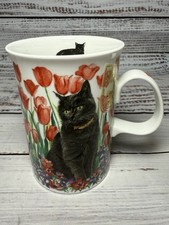 Dunoon black cats for sale  Dekalb