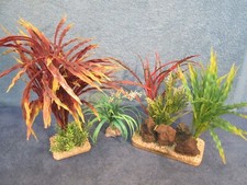 aquarium rocks for sale aquarium rocks for sale TAUNTON