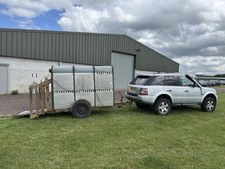 ifor williams sheep trailer for sale ifor williams sheep trailer for sale MELKSHAM