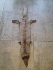 Taxidermy fox super for sale  KINGSWINFORD