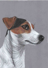Original colour pencil for sale  SOUTHSEA