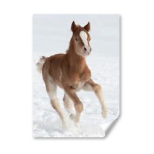 Galloping foal horse for sale  SELBY