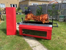 Spitting pig hog for sale  SALISBURY