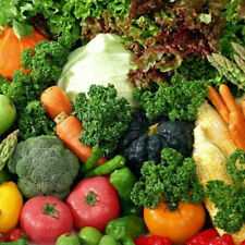 Vegetable organic plug for sale  BURTON-ON-TRENT