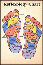 Foot reflexology chart d'occasion  Expédié en Belgium