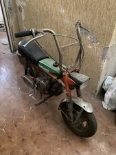 Zanzarino usato  Monte Porzio Catone
