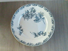 Joli grand plat d'occasion  Monts