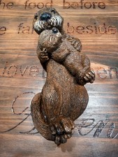 Sea otter baby for sale  San Antonio