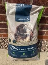 Marriages adult rabbit for sale  WEST BROMWICH