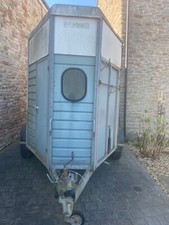 Wessex horse pony for sale  BRISTOL