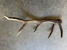 Bois cerf 70vm d'occasion  Seynod