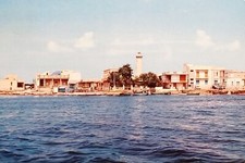 Cartolina torre canne usato Cartolina torre canne usato  Vimodrone