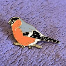 Lanius bird bullfinch for sale  ST. ALBANS