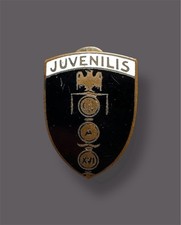 Distintivo gil juvenils usato  Rivoli