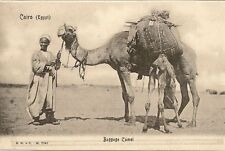 Egypt postcard cairo d'occasion  Expédié en Belgium