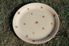 Joli plat tarte d'occasion  La Bégude-de-Mazenc