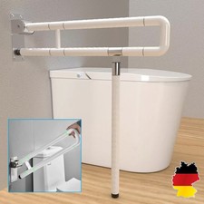 Haltegriff aufstehhilfe toilet gebraucht kaufen  Aspisheim, Grolsheim