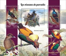 2023 togo birds d'occasion  Brunoy