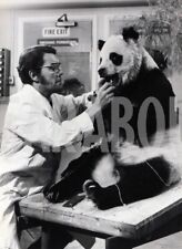Vintage animali regno usato  Roma