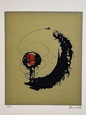 Edgardo mannucci serigrafia usato  Italia