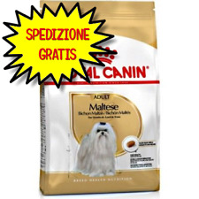 Royal canin cane usato  San Felice Circeo