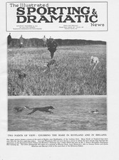 Hare coursing scenes for sale  GLASGOW