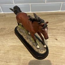 Juliana collection horse for sale  DONCASTER