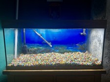 Juwel 180 aquarium for sale  BRADFORD