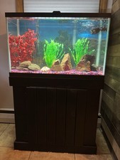 Gallon led aquarium for sale  Maywood