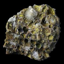 Aragonite auvergne gergovie d'occasion  Saint-Pardoux
