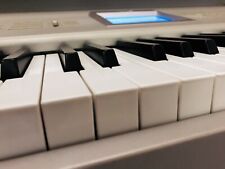 Korg triton studio usato  Monterotondo
