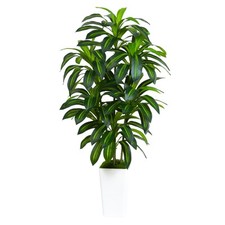 Artificial dracaena plant for sale  Brentwood