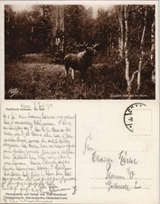 Polen polska kapitaler gebraucht kaufen  Ortrand