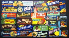 Lot vintage florida for sale  Saint Petersburg