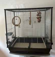 Verkaufe wellensittiche käfig gebraucht kaufen  Solingen