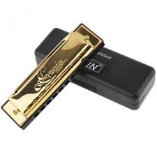 Blues harmonica holes for sale  CANNOCK