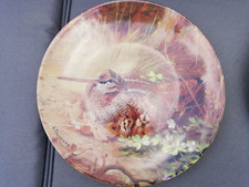 grouse bird for sale grouse bird for sale RUARDEAN