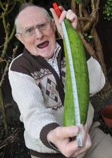 Cetriolo gigante semi usato  Cirie