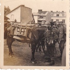 Foto polen sanok gebraucht kaufen  Rommerskirchen