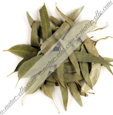 Foglie di Eucalipto Essiccate BIO 80g Eucalyptus Leaves, usado comprar usado  Enviando para Brazil