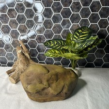 Exo terra small for sale  Atlantic Beach