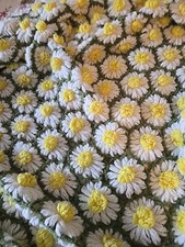 Vintage afghan daisy for sale  Franklin