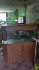 Aqurien kombination aquarien gebraucht kaufen  Zweibrücken