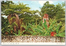 Cartão postal antigo de roda d'água Jamaica comprar usado  Enviando para Brazil