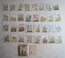 spielanleitung quartett gebraucht kaufen spielanleitung quartett gebraucht kaufen Lindau (Bodensee)