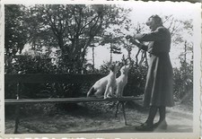 Photo ancienne vintage d'occasion  Paris XI