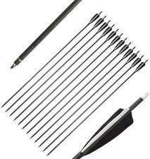 Carbon arrows sp500 d'occasion  Expédié en Belgium