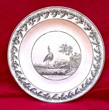 Fox and stork d'occasion  Auray