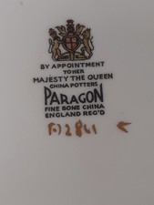 Paragon fine bone for sale  RUGBY